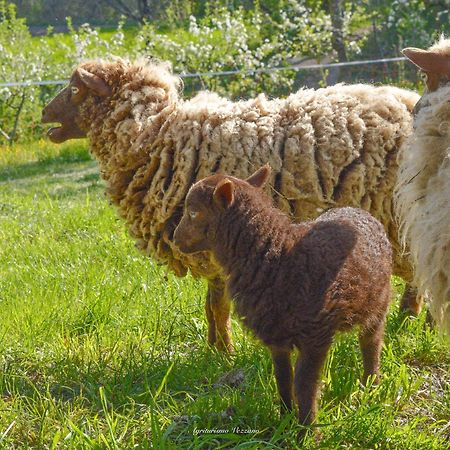 Agriturismo Vezzano Chiusi della Verna Eksteriør billede