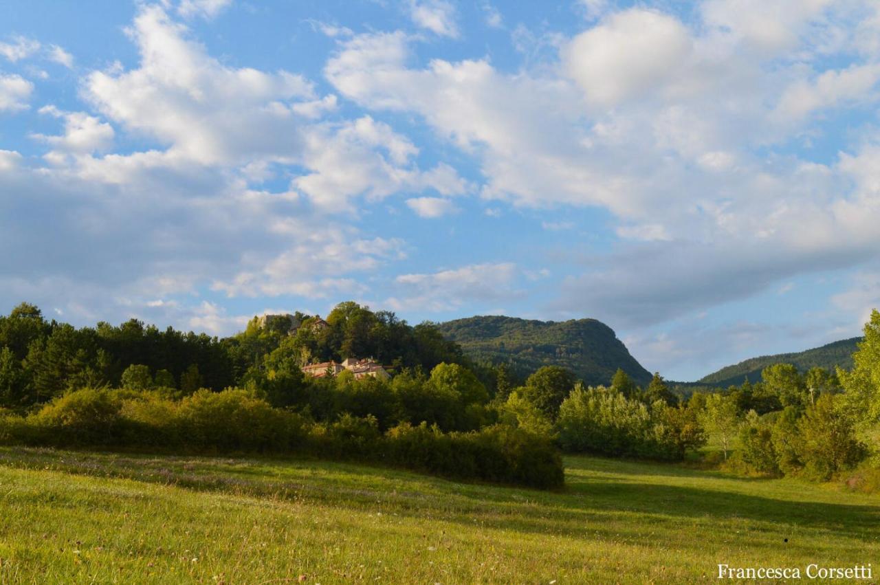 Agriturismo Vezzano Chiusi della Verna Eksteriør billede