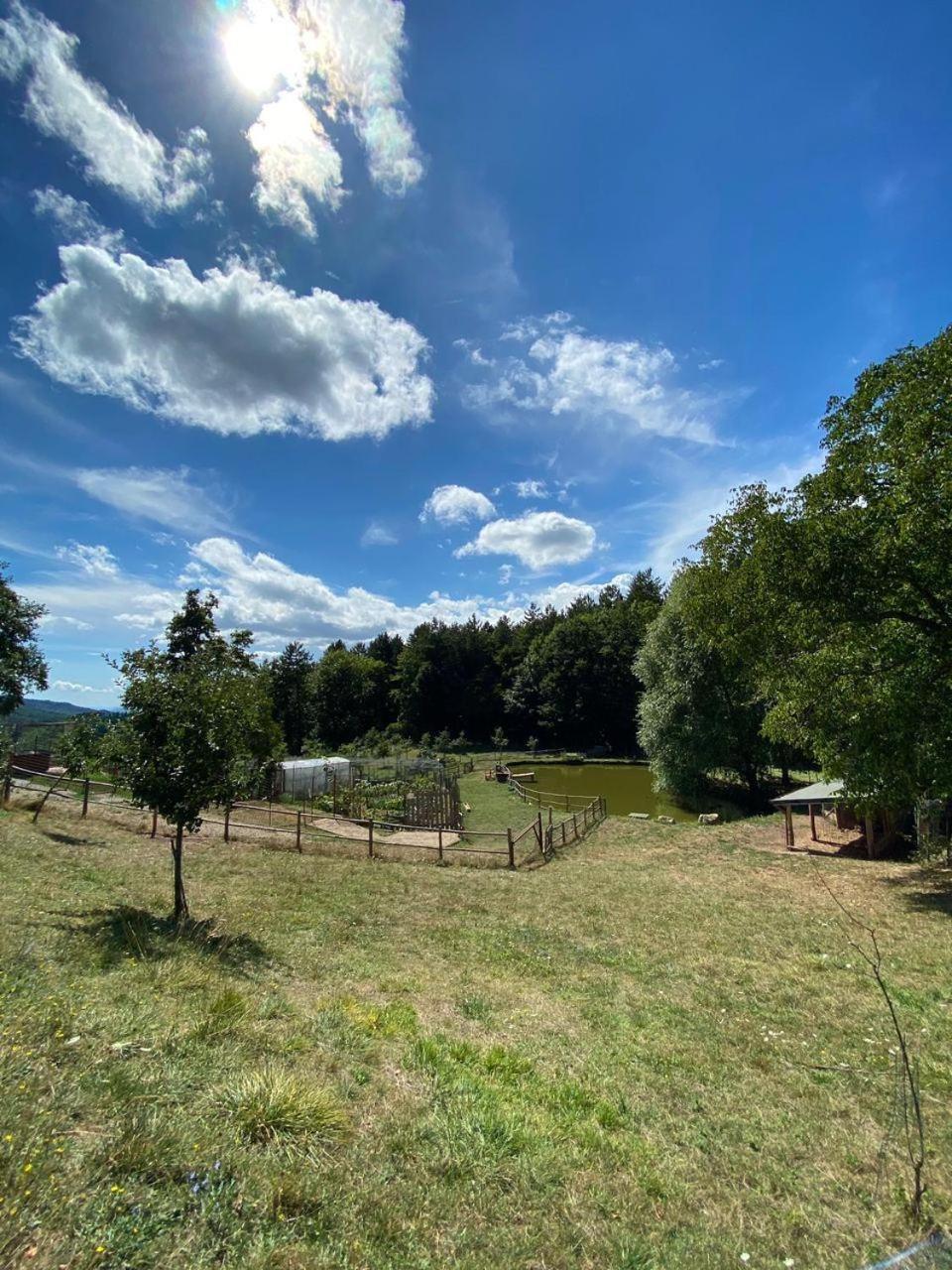 Agriturismo Vezzano Chiusi della Verna Eksteriør billede
