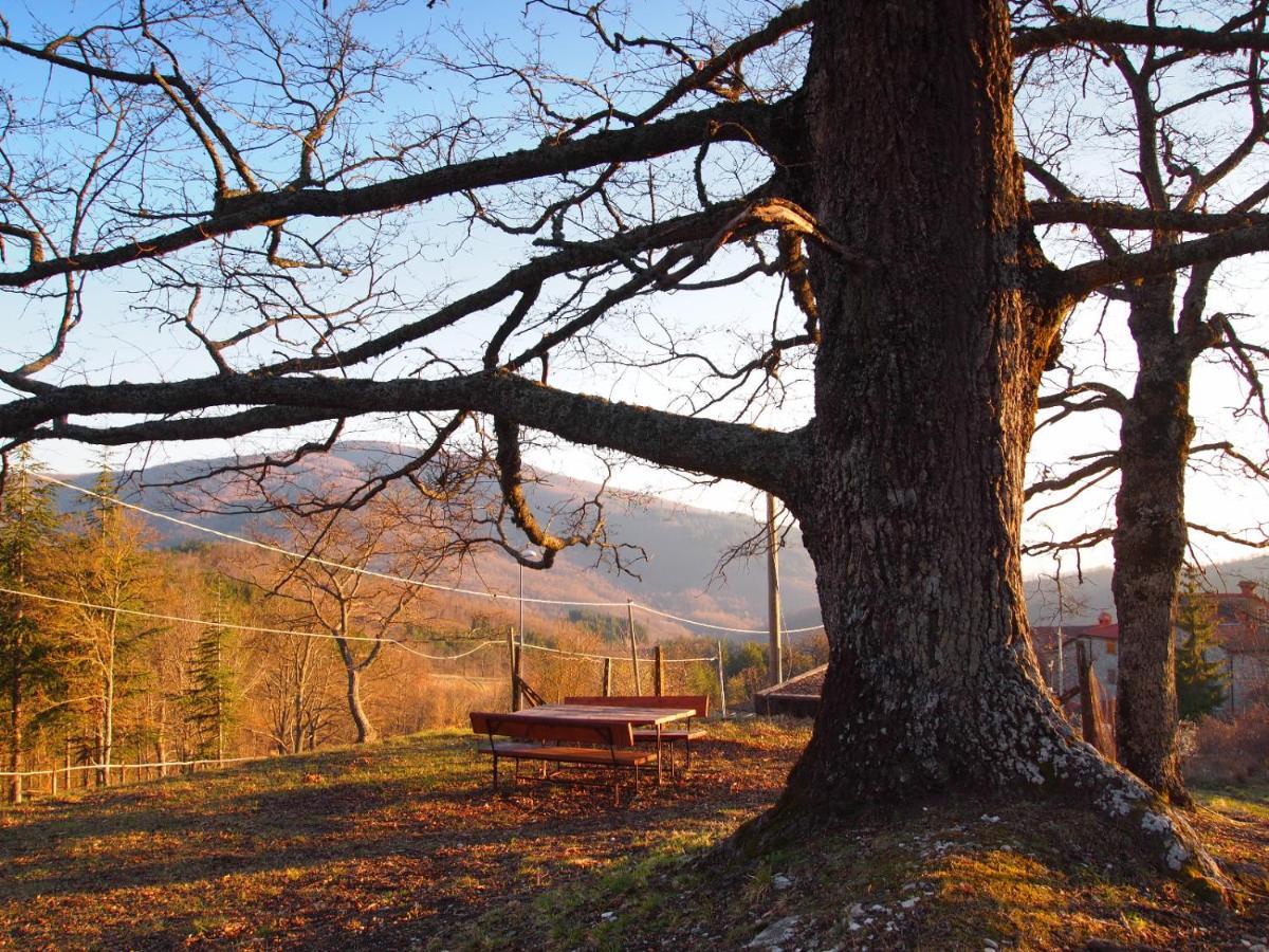 Agriturismo Vezzano Chiusi della Verna Eksteriør billede