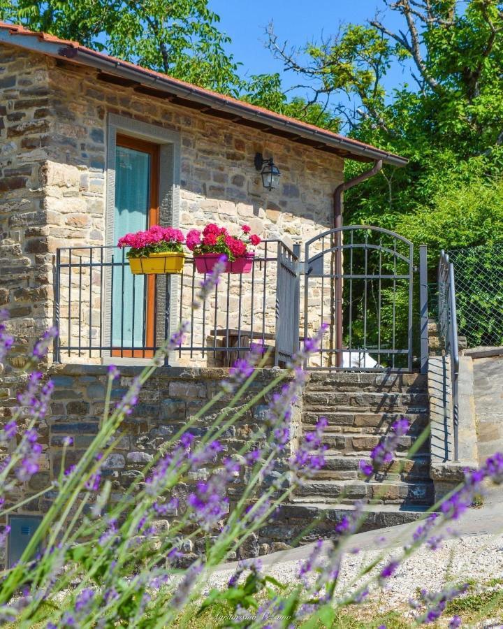 Agriturismo Vezzano Chiusi della Verna Eksteriør billede