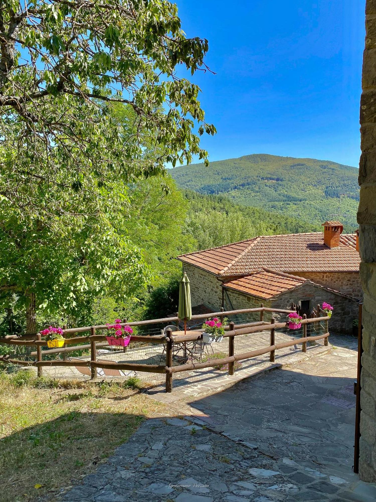Agriturismo Vezzano Chiusi della Verna Værelse billede