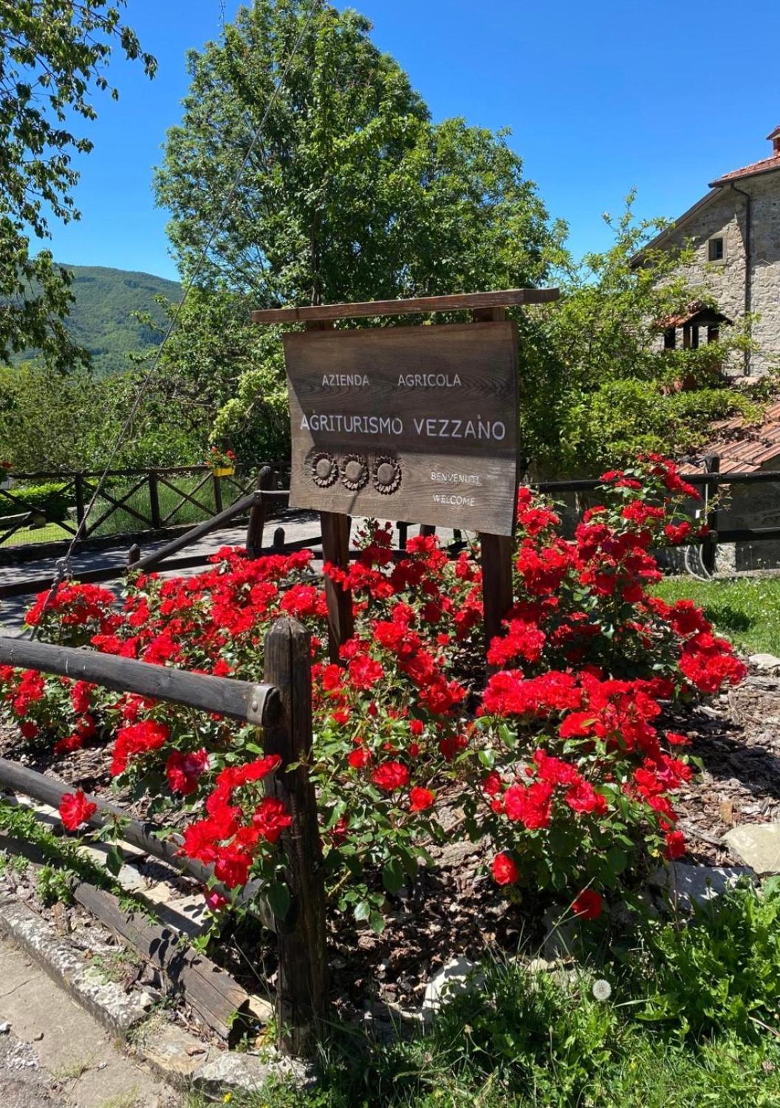 Agriturismo Vezzano Chiusi della Verna Eksteriør billede